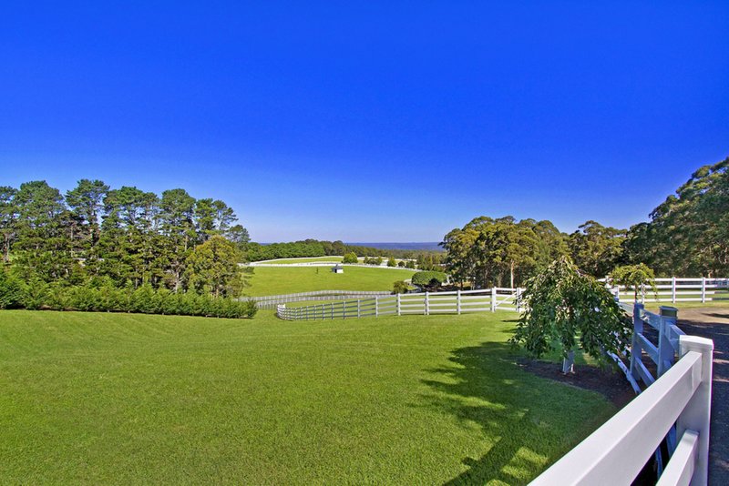 Photo - 13 Hanlons Rd , Bilpin NSW 2758 - Image 17