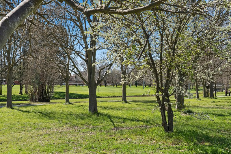 Photo - 1/3 Hay Street, O'Connor ACT 2602 - Image 18