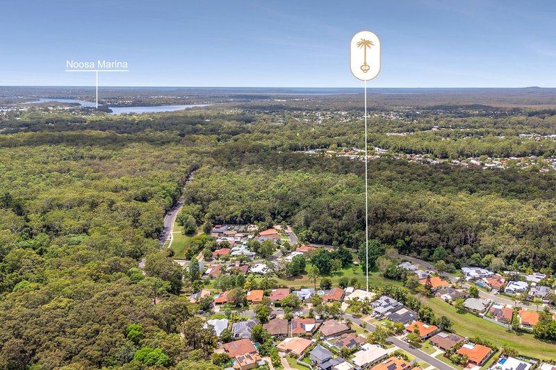 Photo - 13 Homestead Drive, Tewantin QLD 4565 - Image 21