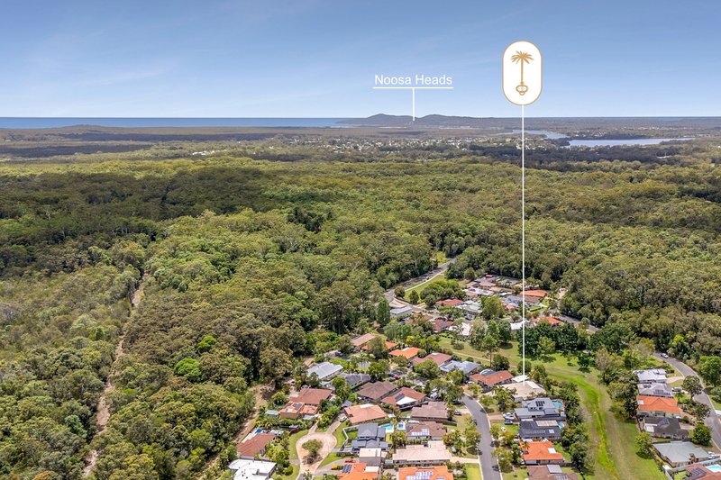 Photo - 13 Homestead Drive, Tewantin QLD 4565 - Image 22
