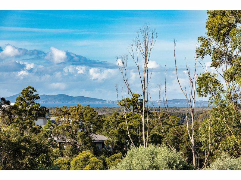 Photo - 13 Hurdzans Reach, Tallwoods Village NSW 2430 - Image 3