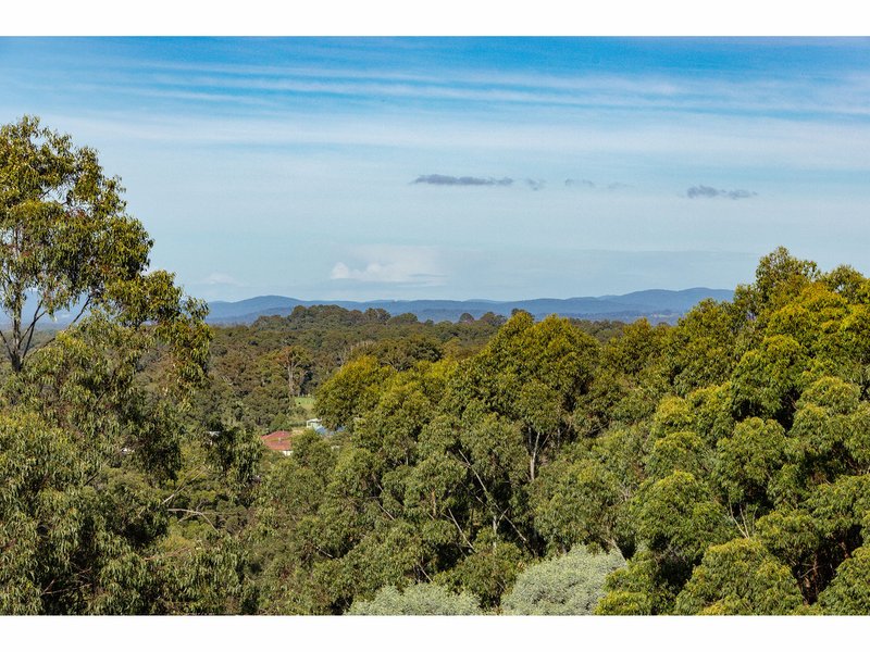 Photo - 13 Hurdzans Reach, Tallwoods Village NSW 2430 - Image 4