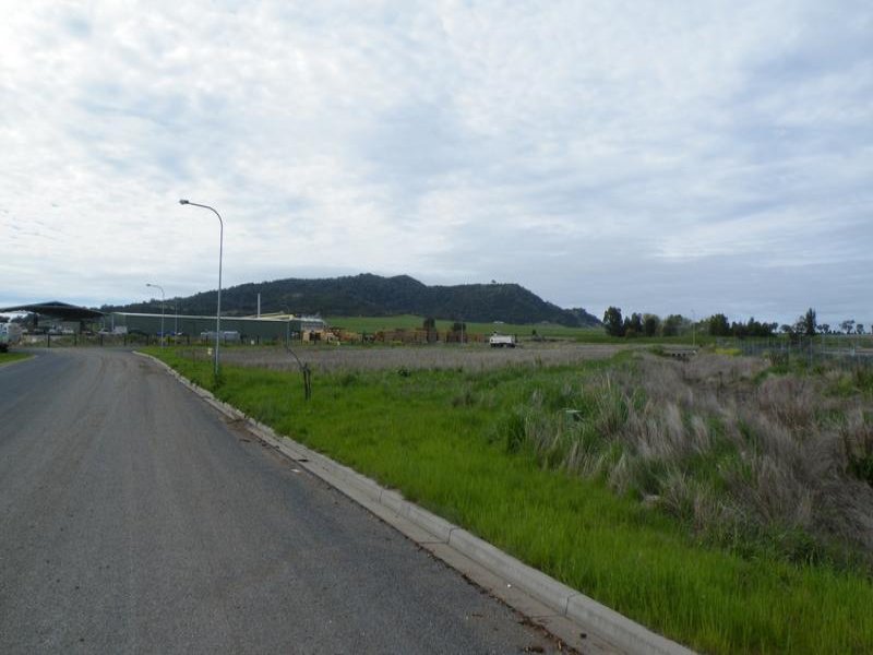 Photo - 13 Industrial Drive, Quirindi NSW 2343 - Image 3