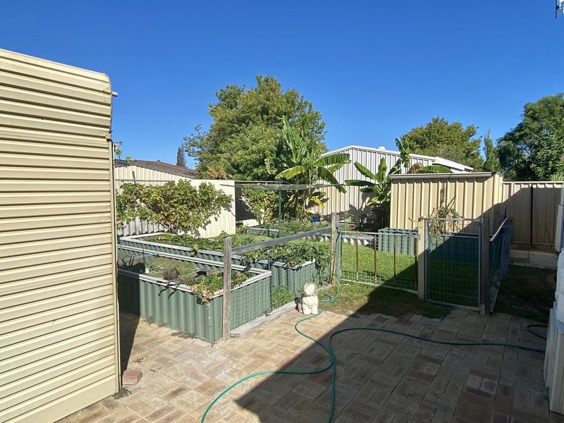 Photo - 13 Johnston Avenue, West Busselton WA 6280 - Image 16