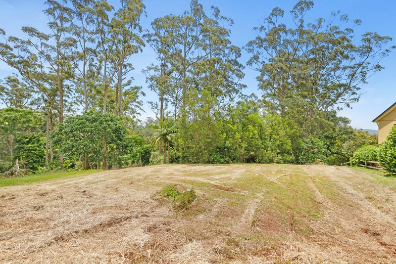 Photo - 13 Katoomba Crescent, Tamborine Mountain QLD 4272 - Image 5