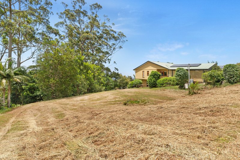 Photo - 13 Katoomba Crescent, Tamborine Mountain QLD 4272 - Image 6