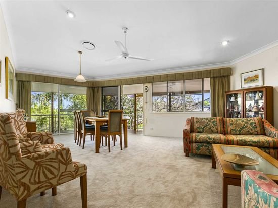 Photo - 13 Le Claire Place, Buderim QLD 4556 - Image 4