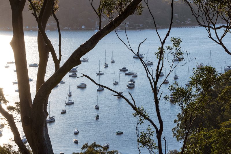 Photo - 13 Loombah Street, Bilgola Plateau NSW 2107 - Image 4
