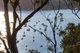 Photo - 13 Loombah Street, Bilgola Plateau NSW 2107 - Image 4