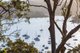 Photo - 13 Loombah Street, Bilgola Plateau NSW 2107 - Image 10