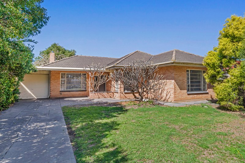 Photo - 13 Matheson Avenue, Findon SA 5023 - Image 2