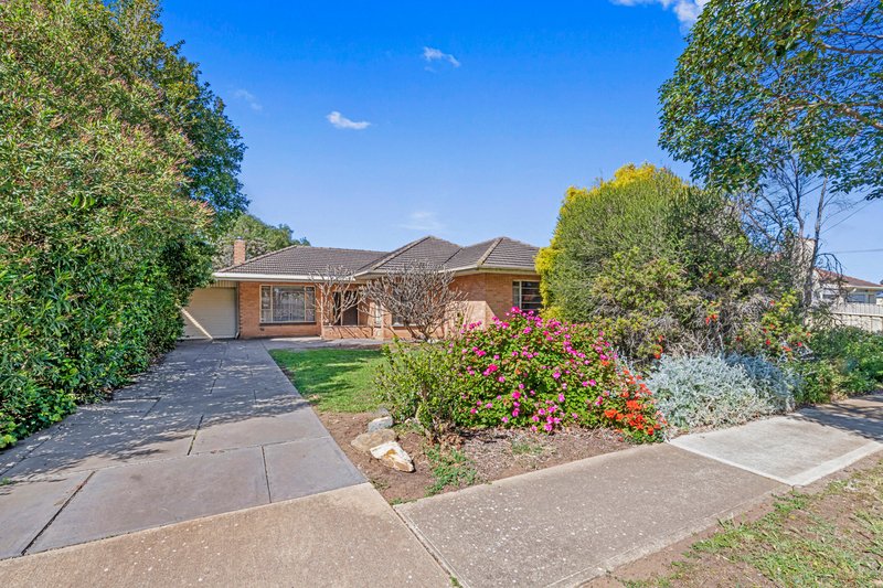 Photo - 13 Matheson Avenue, Findon SA 5023 - Image 4