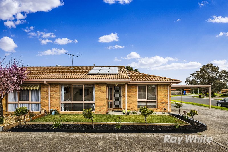 1/3 Mcintosh Court, Aspendale Gardens VIC 3195