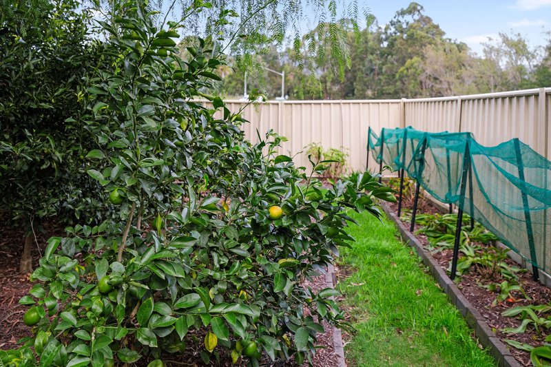 Photo - 13 Mount Vincent Road, Mount Vincent NSW 2323 - Image 21