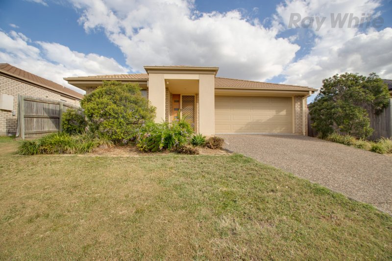 13 Pencarrow Crescent, Raceview QLD 4305