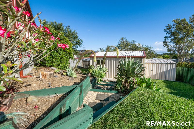 Photo - 13 Percy Court, Glenella QLD 4740 - Image 22