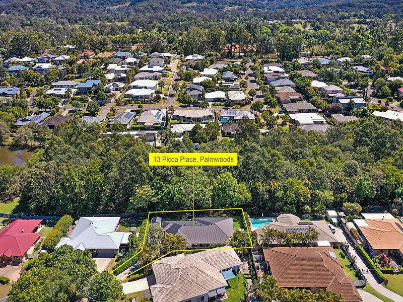 Photo - 13 Picca Place, Palmwoods QLD 4555 - Image 13