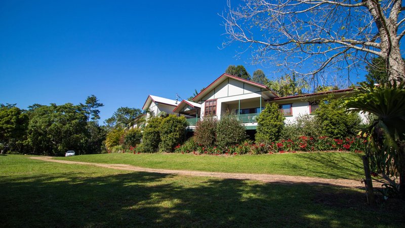 13 Pigeonberry Rd, Murwillumbah , Nobbys Creek NSW 2484