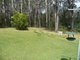 Photo - 13 Rainforest Drive, Mitchells Island NSW 2430 - Image 15