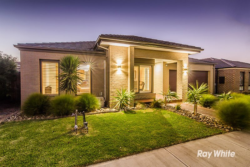 13 Rock Daisy Drive, Cranbourne West VIC 3977