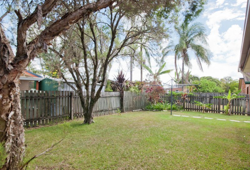 Photo - 1/3 Saracen Street, Battery Hill QLD 4551 - Image 11