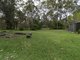 Photo - 13 Sundowner Avenue, Berrara NSW 2540 - Image 14