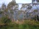 Photo - 13 Susans Bay Road, Primrose Sands TAS 7173 - Image 2