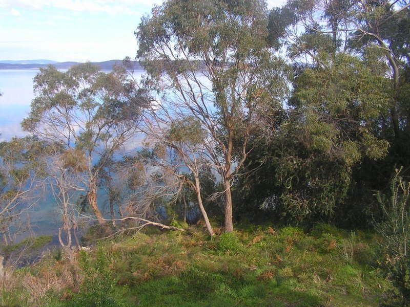 Photo - 13 Susans Bay Road, Primrose Sands TAS 7173 - Image 3