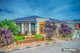 Photo - 13 Swordgrass Avenue, Tarneit VIC 3029 - Image 2