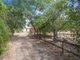 Photo - 13 Thallon Road, Regency Downs QLD 4341 - Image 4