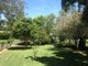 Photo - 13 Tirzah Street, Moree NSW 2400 - Image 2