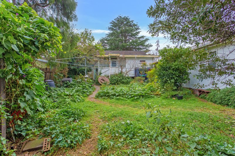 Photo - 13 Valentia Avenue, Lugarno NSW 2210 - Image 4