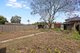 Photo - 13 Ward Street, Yagoona NSW 2199 - Image 6