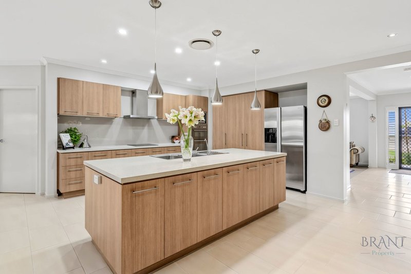 Photo - 13 Water Gum Crescent, Maleny QLD 4552 - Image 2