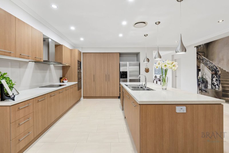 Photo - 13 Water Gum Crescent, Maleny QLD 4552 - Image 3