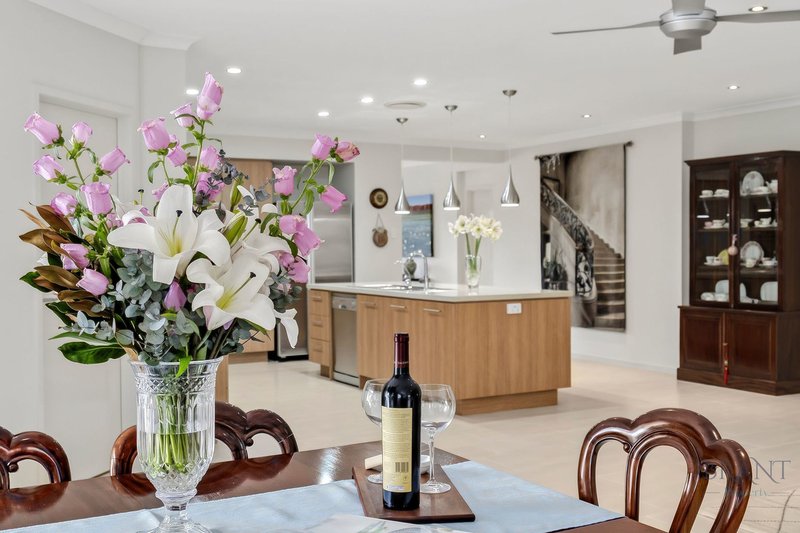 Photo - 13 Water Gum Crescent, Maleny QLD 4552 - Image 9
