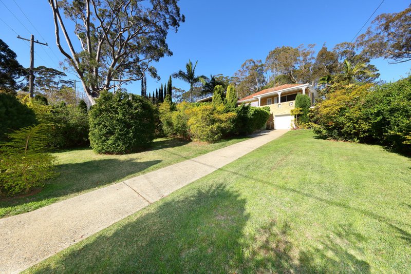 Photo - 13 Wyong Street, Oatley NSW 2223 - Image 3