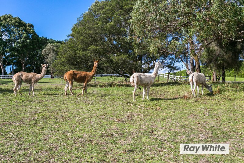 Photo - 130 Browns Road, Boneo VIC 3939 - Image 3