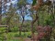 Photo - 130 Henderson Road, Wentworth Falls NSW 2782 - Image 2