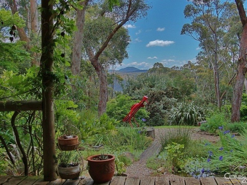 Photo - 130 Henderson Road, Wentworth Falls NSW 2782 - Image 4