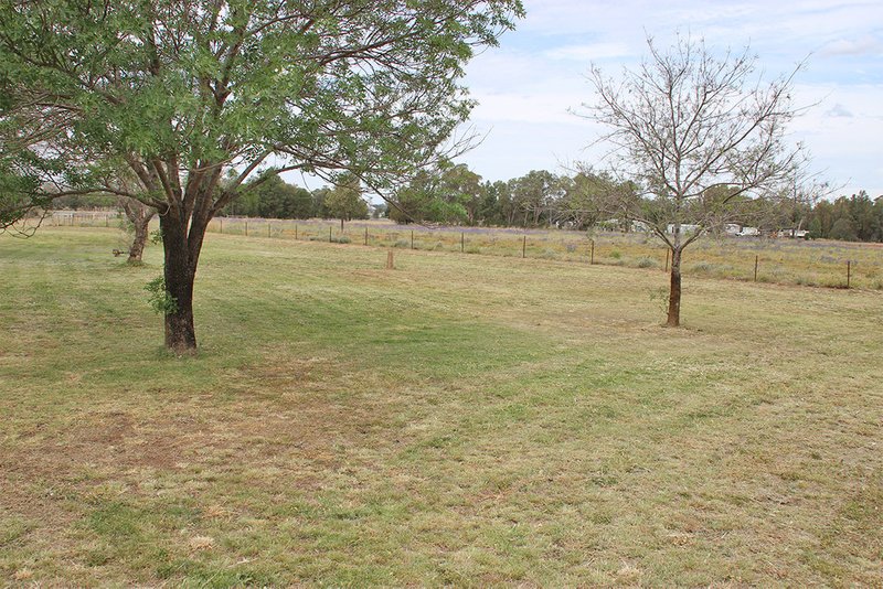 Photo - 130 Namoi Street, Baradine NSW 2396 - Image 11