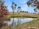 Photo - 130 Spring Close, Mount Rankin NSW 2795 - Image 3