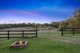 Photo - 130 Stonier Road, Napoleons VIC 3352 - Image 27
