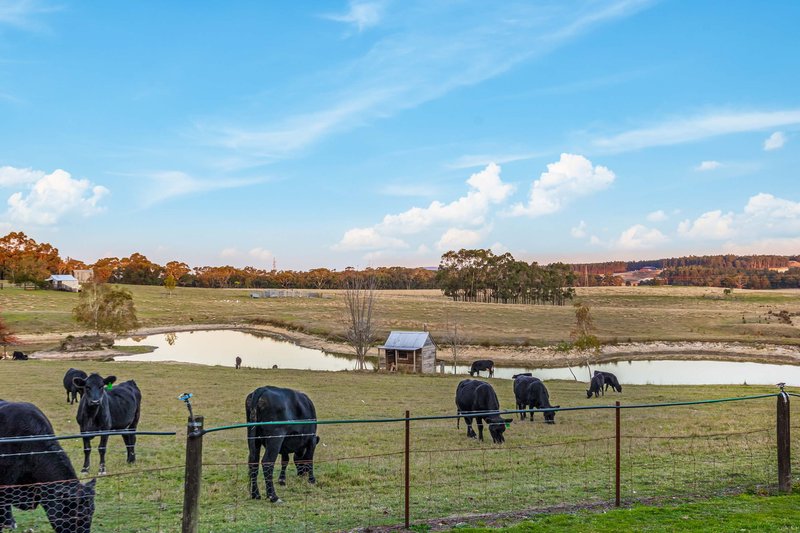 Photo - 130 Stonier Road, Napoleons VIC 3352 - Image 29