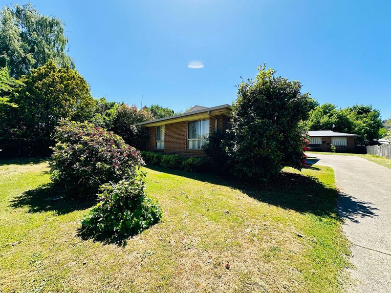 Photo - 1/30 Winton Street, Tumbarumba NSW 2653 - Image 14