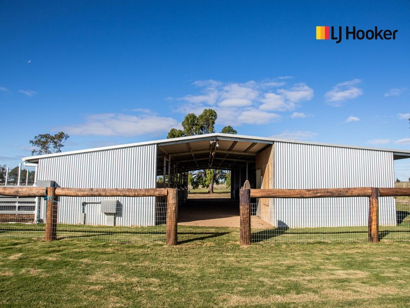 Photo - 130 Woodside Road, Roma QLD 4455 - Image 13