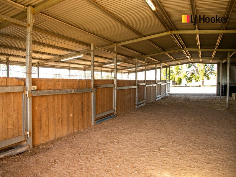 Photo - 130 Woodside Road, Roma QLD 4455 - Image 14