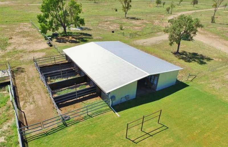 Photo - 130 Woodside Road, Roma QLD 4455 - Image 3