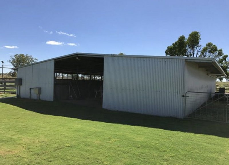 Photo - 130 Woodside Road, Roma QLD 4455 - Image 4