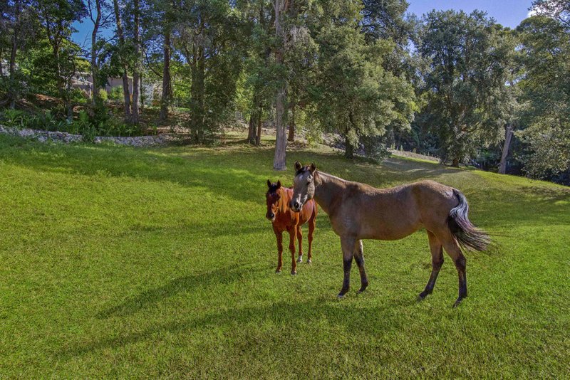 1302 Bells Line Of Road, Kurrajong Heights NSW 2758